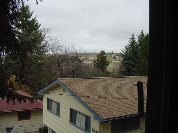 full_ab17c504c1d8556.jpg, The View