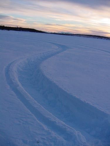 full_77e09e3f27229ec.jpg, Track Marks