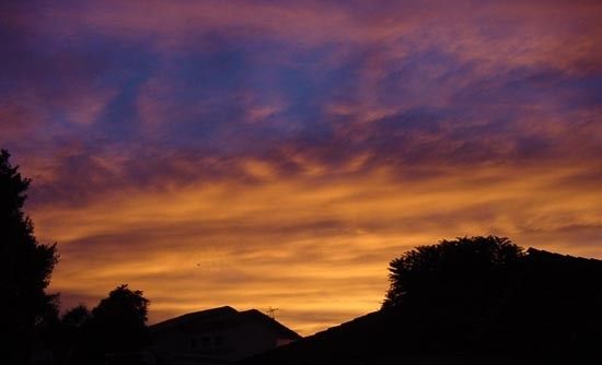 full_565798a18535b7e.jpg, Sunset: Reloaded
